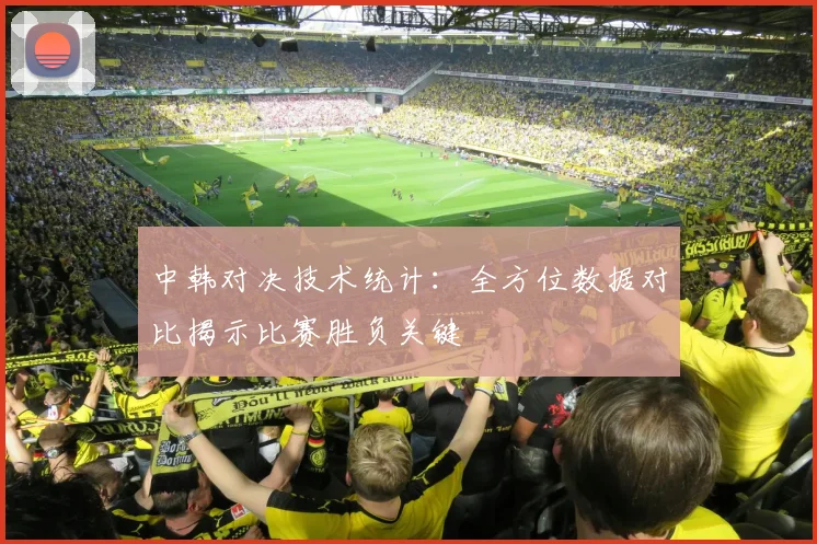中韩对决技术统计：全方位数据对比揭示比赛胜负关键