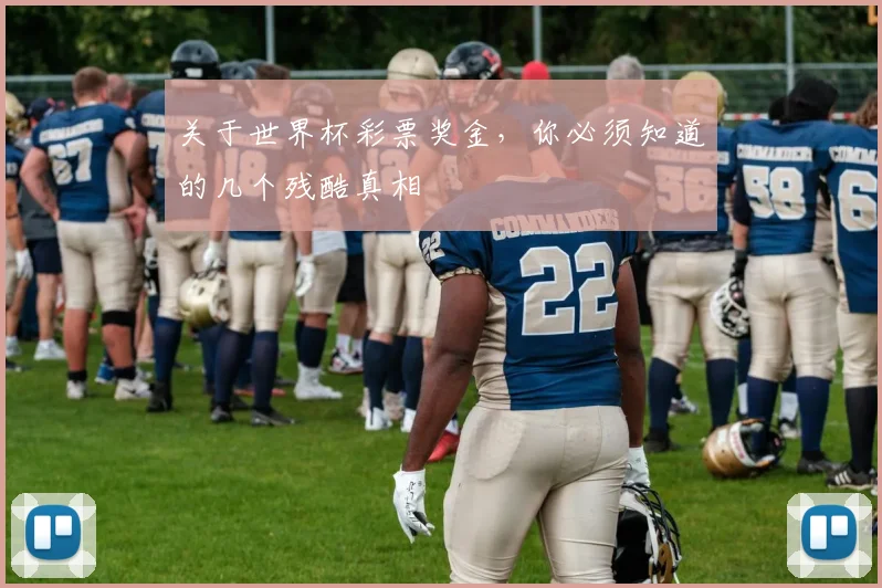 关于世界杯彩票奖金，你必须知道的几个残酷真相