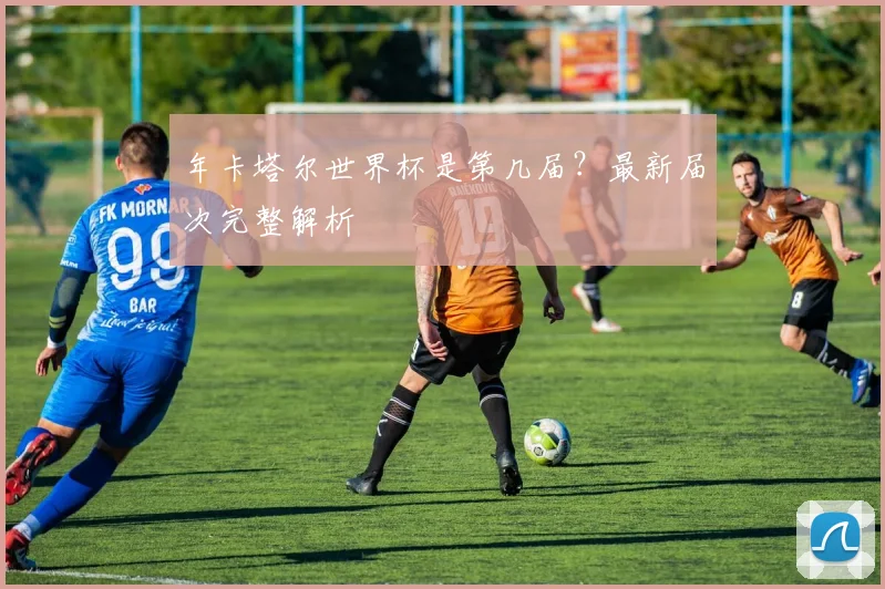年卡塔尔世界杯是第几届?最新届次完整解析