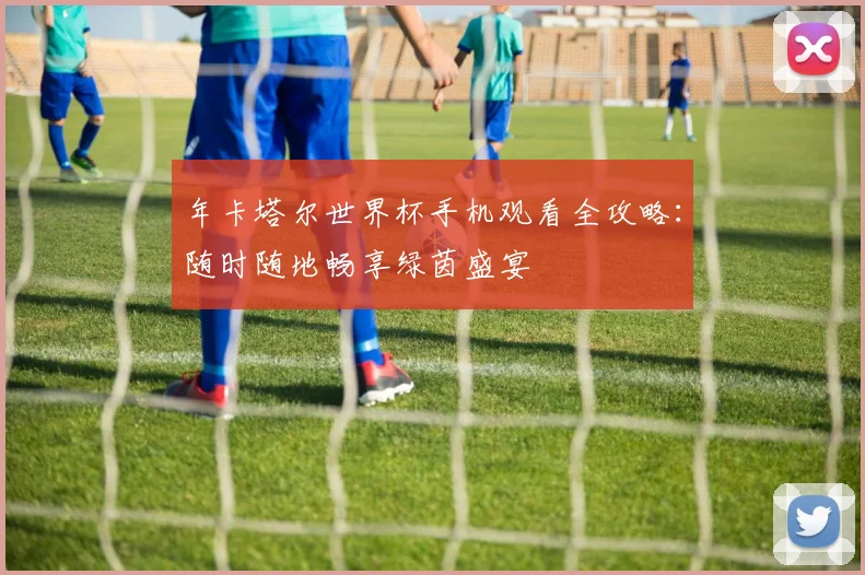 年卡塔尔世界杯手机观看全攻略:随时随地畅享绿茵盛宴
