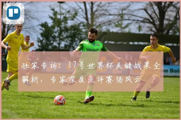 独家专访:17号世界杯关键战果全解析,专家深度点评赛场风云